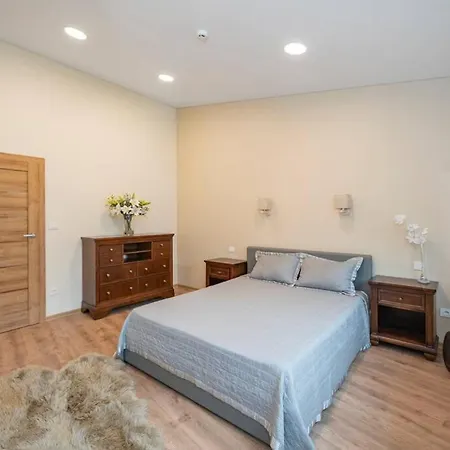 公寓 Homely Kreves By Polo 考纳斯